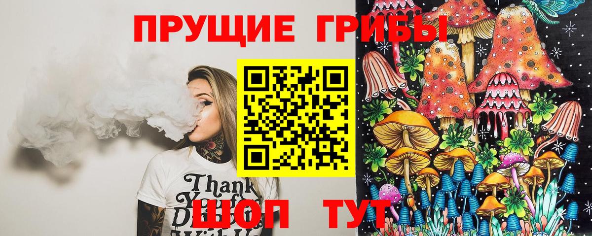 Галлюциногенные грибы Psilocybine cubensis Абакан
